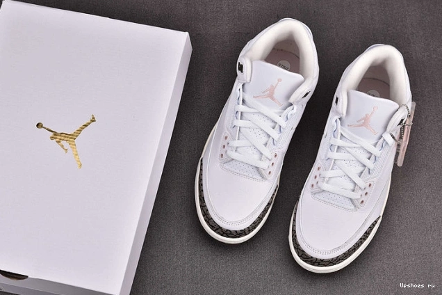 Jordan Mocha (W) DarNeapolitan Dark CK9246-102 3 Retro 0822